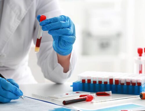 The Value of Labwork for Your Pet’s Health: What We Learn Beyond the Physical Exam
