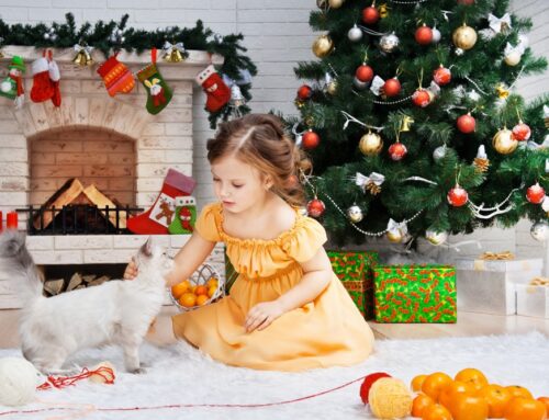 Holiday Pet Safety
